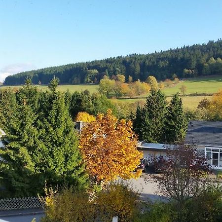 Fewos 4-Jahreszeiten Willingen  Exteriér fotografie