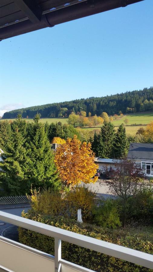 Fewos 4-Jahreszeiten Willingen  Exteriér fotografie