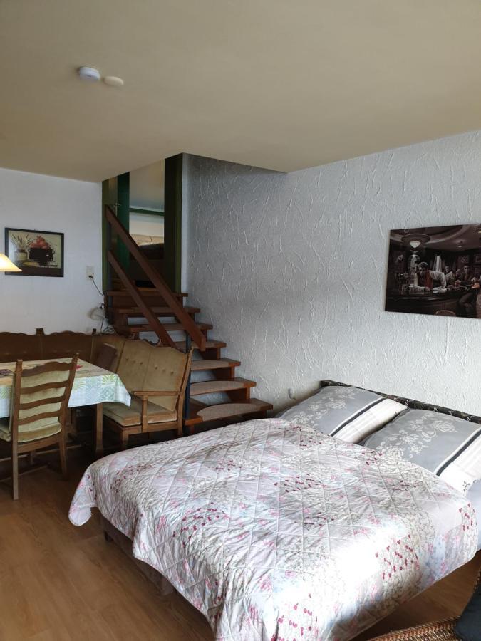 Fewos 4-Jahreszeiten Willingen  Exteriér fotografie