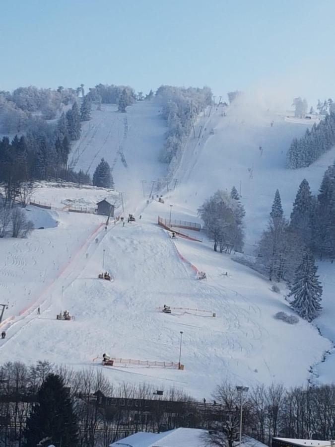 Fewos 4-Jahreszeiten Willingen  Exteriér fotografie