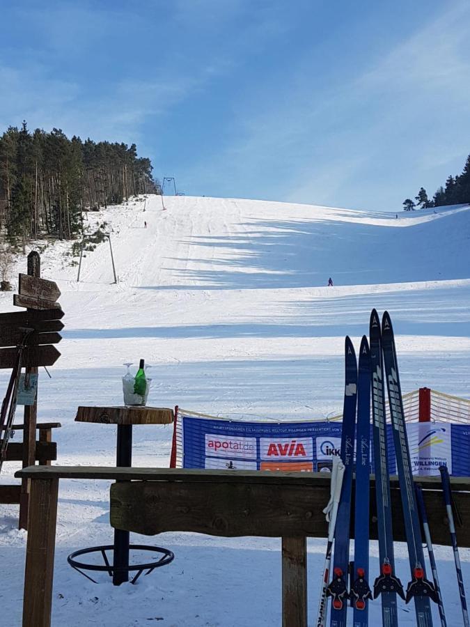 Fewos 4-Jahreszeiten Willingen  Exteriér fotografie